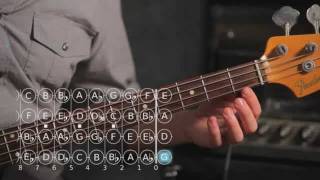 How to Play D ♯  E Flat Major Scale  Bass Guitar [upl. by Sevik]