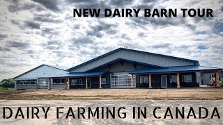 Touring Our New Dairy Barn [upl. by Blondy]