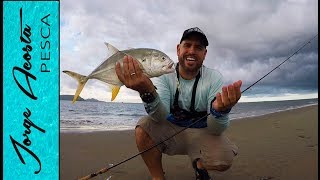 Pesca de PLAYA  Jureles en Sinaloa [upl. by Essy]