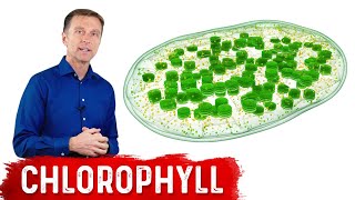 9 Proven Benefits of Chlorophyll [upl. by Elyc385]