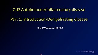 Autoimmune Encephalitis  Dr Bo Sun  My Brain and Medicine 2019 [upl. by Niwrehs]