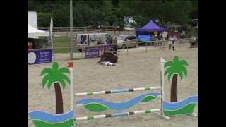 Chute de cheval en concours RISSA DU VIVIER [upl. by Crellen]