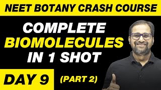 BIOMOLECULES in 1 Shot Part 2  All Theory Tricks amp PYQs Covered  Class 11  NEET [upl. by Melquist]