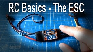 RC Basics  Understanding Electronic Speed Controllers ESC [upl. by Funk]