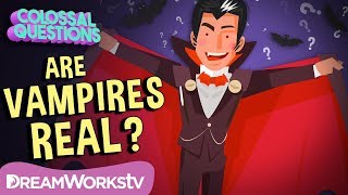 Are Vampires Real  COLOSSAL QUESTIONS [upl. by Astrahan]