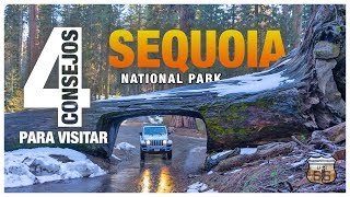 SEQUOIA NATIONAL PARK CIRCULO PARQUES COSTA OESTE EEUU [upl. by Aronid]