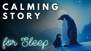 ❄️ The Perfect Story for Sleep ❄️ A Relaxing Cruise around Antarctica  A Calming Story for Sleep [upl. by Figone]