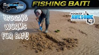 How to Dig the Best Fishing Bait  Worms  TAFishing [upl. by Lindly]