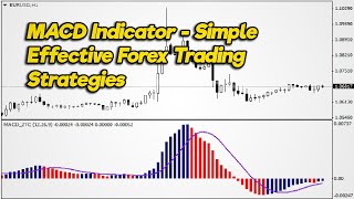 How to Use MACD Indicator  Simple Effective Forex Trading Strategies Explained [upl. by Canica]