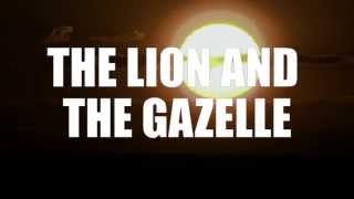 The Lion and Gazelle  Running Inspiration [upl. by Oiceladni]