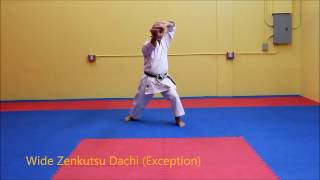 Heian Yondan  Shotokan Karate Kata [upl. by Rickert]