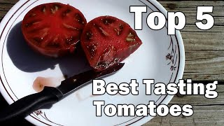 My Top 5 Best Tasting Tomatoes [upl. by Bev]