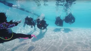 How to Get Scuba Certified [upl. by Adliwa]