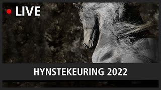 LIVE Hynstekeuring 2022 [upl. by Nadaha]