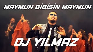 İzmir Gaydası  Dj Yılmaz  Maymun Gibisin Maymun \ Ağır Roman Havası 2020 [upl. by Hamel838]