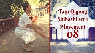 Qigong Exercises Tai Chi Qigong Shibashi set 1 movement 8 [upl. by Ranique]