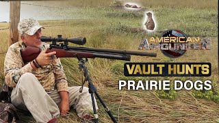 PRAIRIE DOG Airgun Hunting with Jim Chapman [upl. by Hylan]