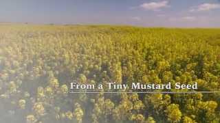 From a Tiny Mustard Seed [upl. by Helsie]