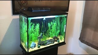 PetSmart Top Fin Essentials 37 Gallon Aquarium Kit Review [upl. by Scrogan346]