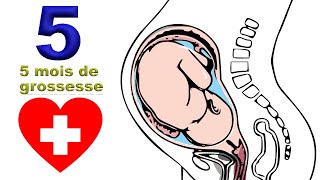 5 mois de grossesse  tout bouge  EnceinteSante [upl. by Marjory]