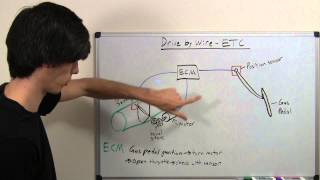 Drive By Wire  Electronic Throttle Control  Explained [upl. by Carlton59]