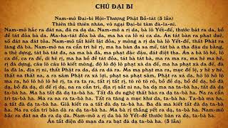 Chú Đại Bi 21 Biến Tiếng Việt  Thầy Thích Trí Thoát tụng Rất hay [upl. by Sidras]