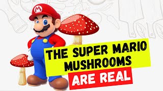 The SUPER MARIO Magic Mushroom is for Real  5 Shocking Facts about Mushrooms [upl. by Margaux]