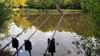 Fishing UK for 21 Days PART 1 Carp Shark Conger Eel Coarse amp Sea Angling [upl. by Timus]