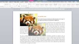 La fonction habillage du texte dans Word [upl. by Dianna]