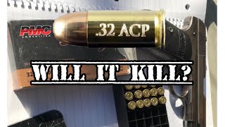 Truth about the 32 ACP [upl. by Ahsenom]