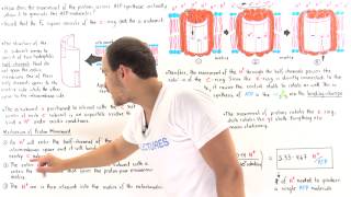 Proton Movement in ATP Synthase [upl. by Leryt]