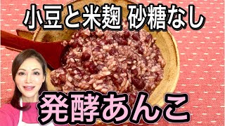 発酵あんこのレシピ・作り方！【小豆麹】食べる点滴腸活ダイエット [upl. by Rabkin]