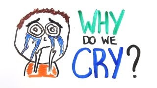 The Science Behind Why We Cry [upl. by Natsrik]