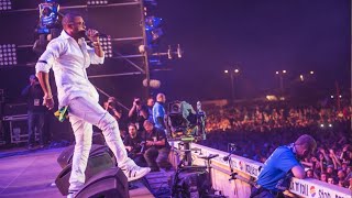 Shaggy  Biała Flaga Woodstock2015 [upl. by Ahsika]