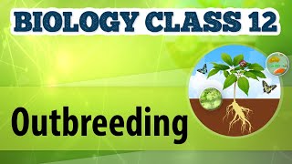 Outbreeding  Animal Husbandry  Biology Class 12 [upl. by Ramled]