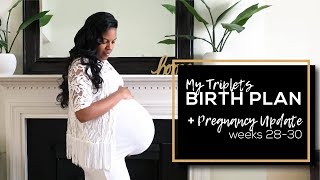 Triplets BIRTH PLAN  Pregnancy Update 28  30 weeks [upl. by Edrei303]