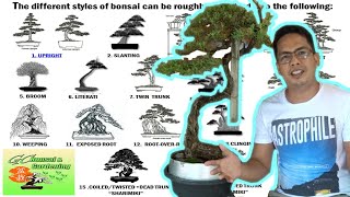 The different Styles of Bonsai Explained Beginners Guide [upl. by Psyche]