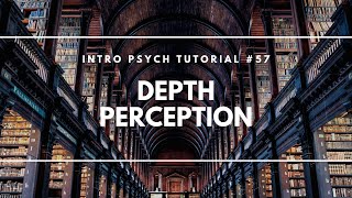 Depth Perception Intro Psych Tutorial 57 [upl. by Atiek88]