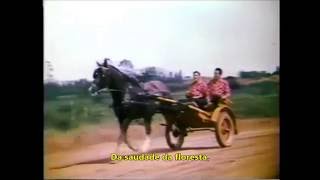 TONICO E TINOCO  MORENINHA LINDA  1961Legendado [upl. by Elcarim771]