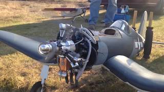 Hangar 9 Corsair Saito FG19 R3 maiden flight [upl. by Sivrup]