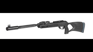 Gamo Roadster 10X IGT GEN2 45 mm Air Rifle [upl. by Trevor]