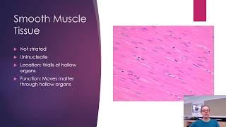 Histology  Bone and Muscle [upl. by Calabrese]