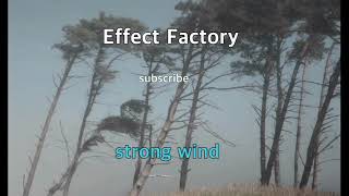 strong wind sound effect [upl. by Hephzibah471]