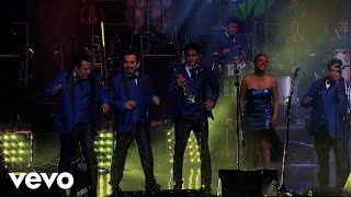 Los Ángeles Azules  Cumbia Coqueta Live [upl. by Ssenav]