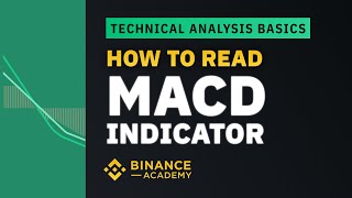 How to Read MACD Indicator ｜Explained For Beginners [upl. by Wildee]