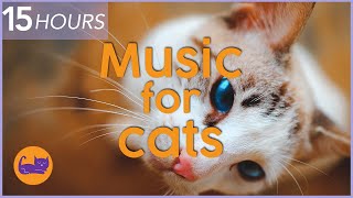 NO ADS 15 HOURS of Relaxing Cat Music  Instant Relaxation [upl. by Ariahs]