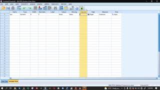 Introduction to SPSS and Data entry in Amharic [upl. by Barclay661]