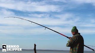 WHY should you use a RIDICULOUSLY Long Fishing Rod [upl. by Nazus]