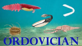 The five Strangest Animals of the Ordovician period [upl. by Joung4]