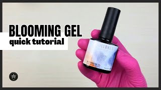 MODELONES Blooming Gel Easy amp Quick Tutorial [upl. by Oirasec]